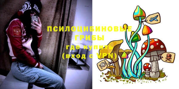 скорость Богородицк